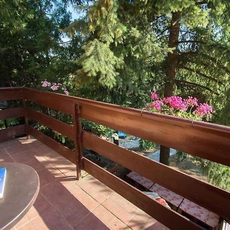 Happy House Villa Velika Remeta Екстериор снимка
