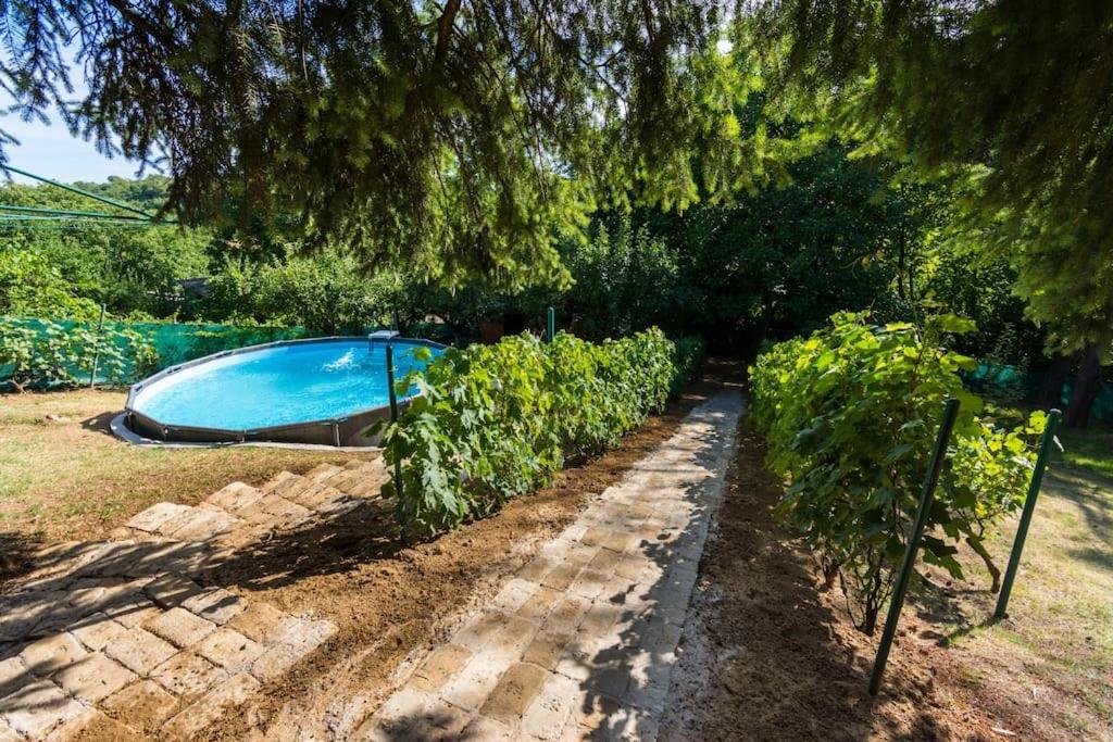 Happy House Villa Velika Remeta Екстериор снимка