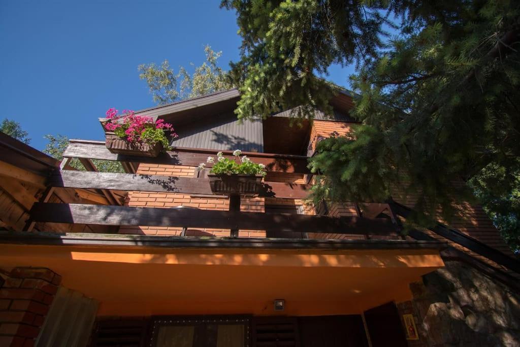 Happy House Villa Velika Remeta Екстериор снимка