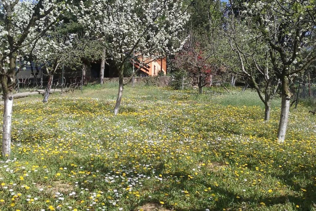 Happy House Villa Velika Remeta Екстериор снимка